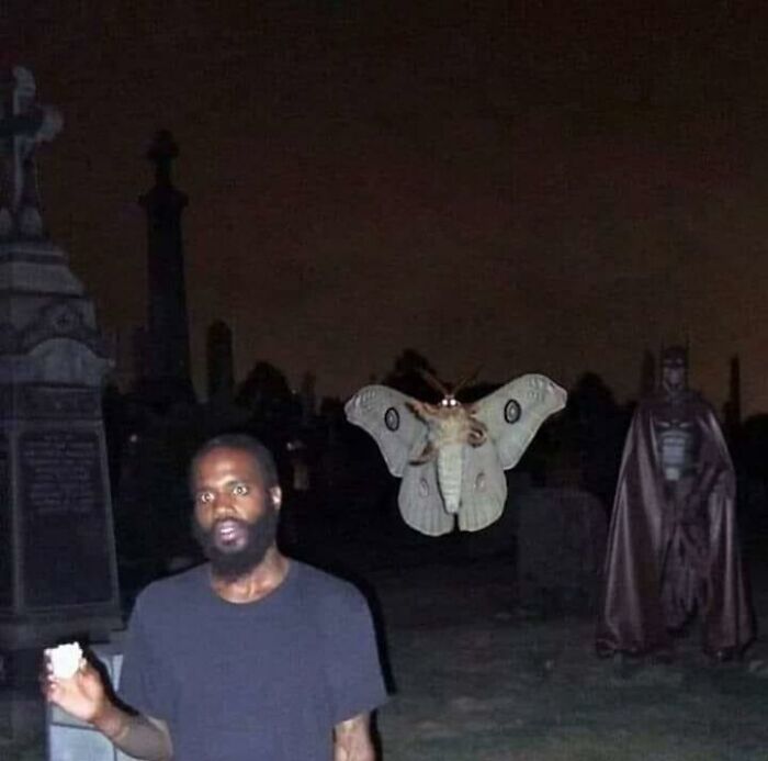 35 Funny “Images With A Lot Of Stuff Going On” That Get Weirder The Longer You Look At Them