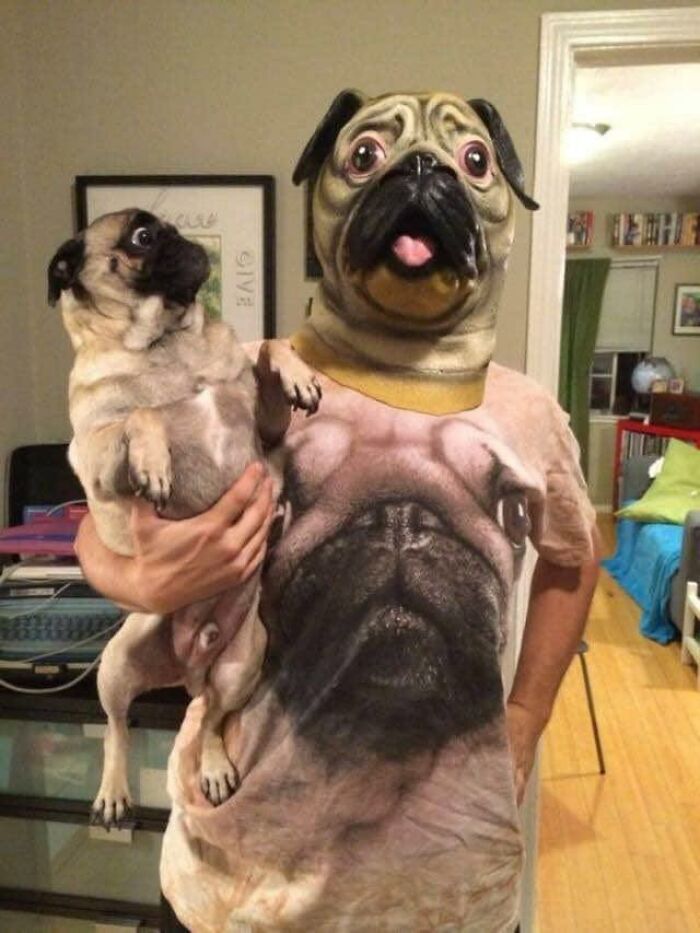 35 Funny “Images With A Lot Of Stuff Going On” That Get Weirder The Longer You Look At Them