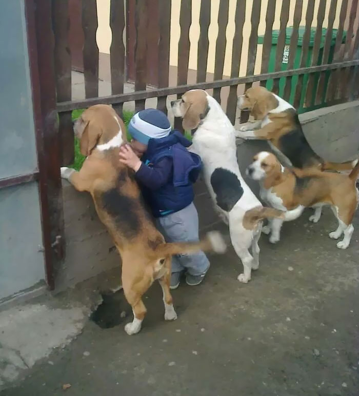 Mira a estos chicos