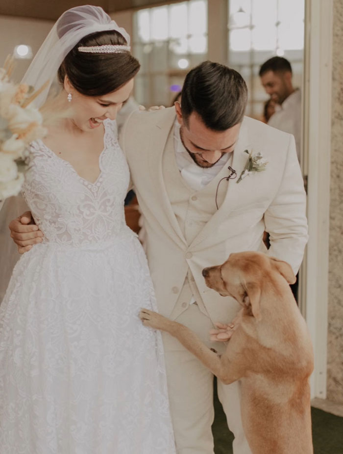 Este perro callejero "invadió" una boda y acabó siendo adoptado por los recién casados