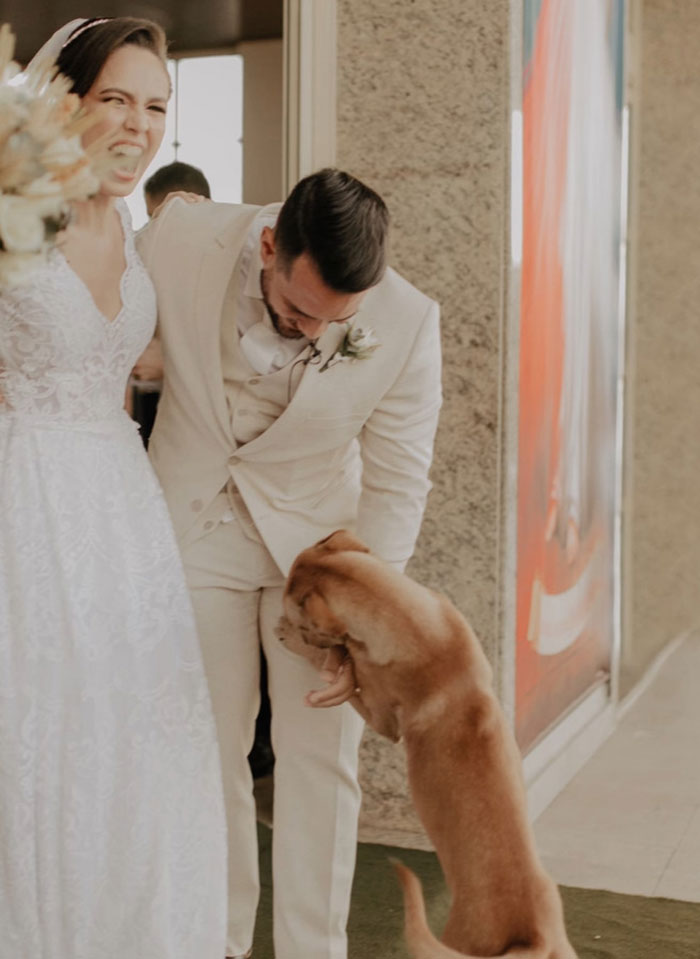 Este perro callejero "invadió" una boda y acabó siendo adoptado por los recién casados