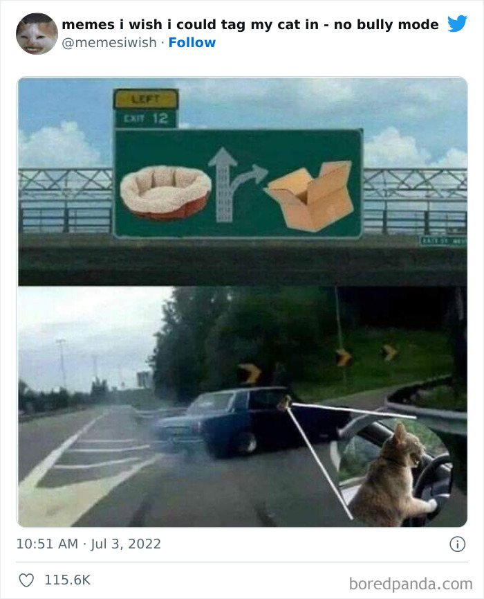 50 Hilarious Posts From The “Memes I Wish I Could Tag My Cat In” Twitter Account (New Pics)