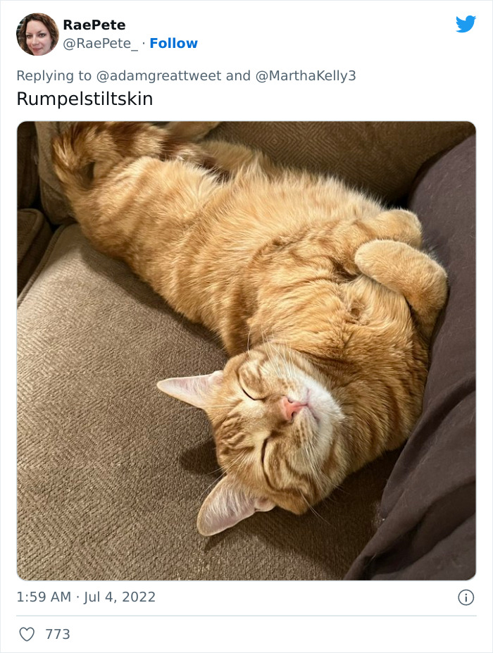 40 Of The Most Bonkers Pet Names, As Shared By Their Owners In This Now-Viral Twitter Thread