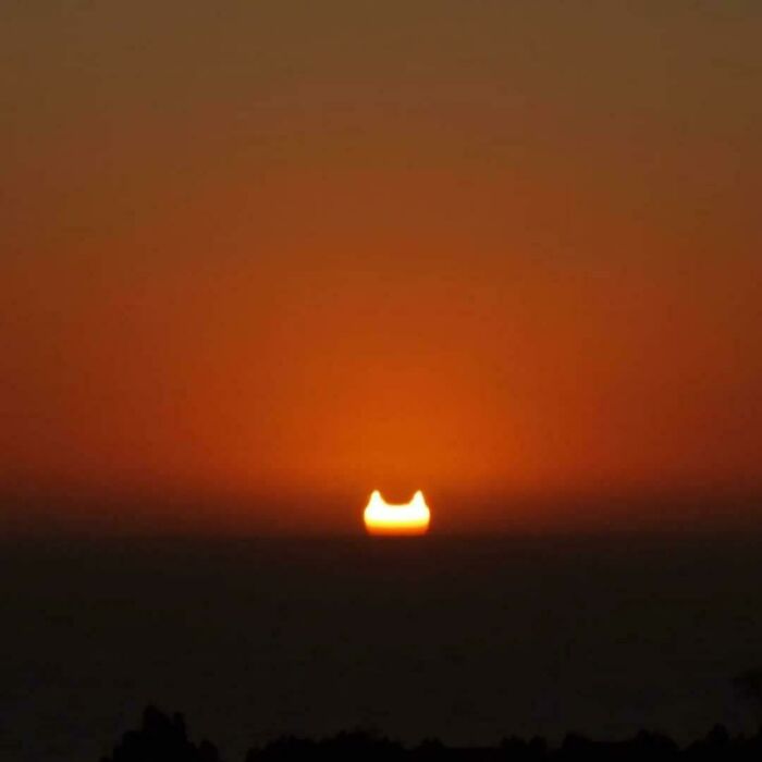 Durante el atardecer, el eclipse de sol de hoy parecía la cabeza de un gato gigante