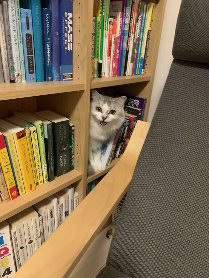 El libro que grita