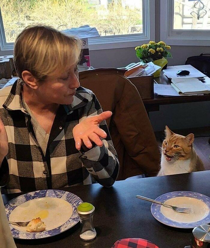 Mi madre y Fred discutiendo durante el almuerzo de Pascua
