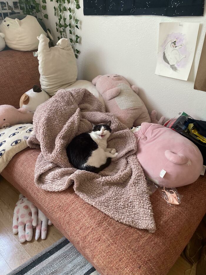 Estaba durmiendo la siesta