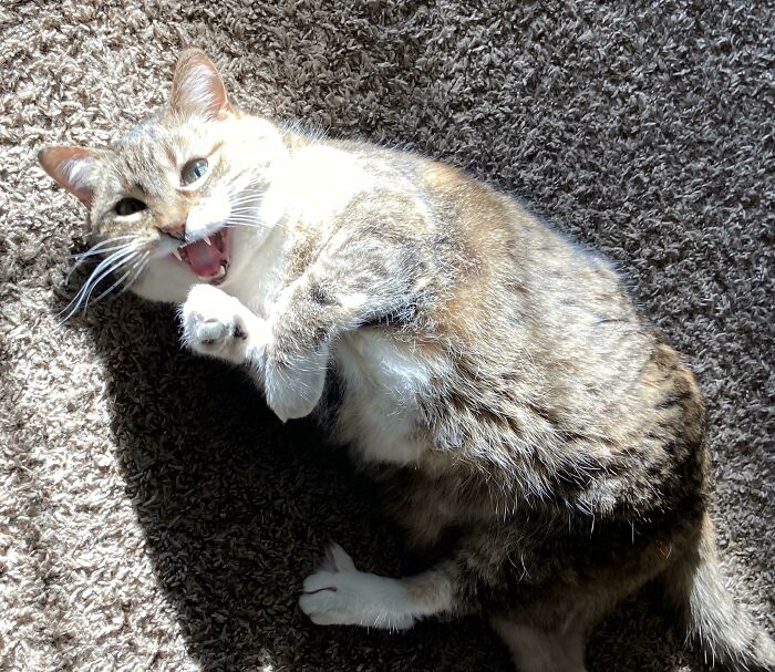 Le grita al sol de la tarde