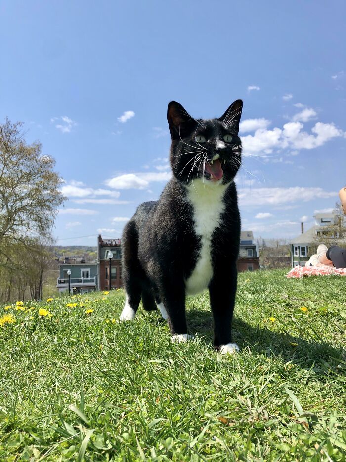 Hoy cumple 11 años