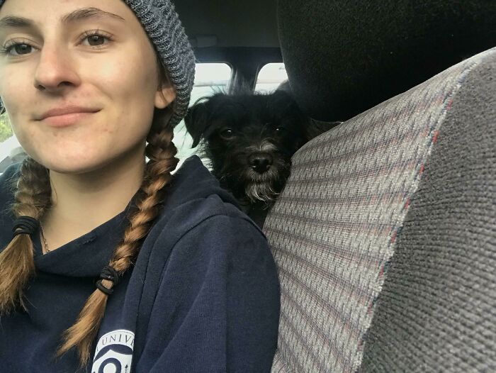 Renuncié a mi trabajo el sábado, me abandonaron el domingo, superé mi examen parcial el lunes, conseguí el trabajo que realmente quería el martes, pagué todas mis deudas el miércoles y pasé el día con mis perros en la playa. Ha sido una buena semana