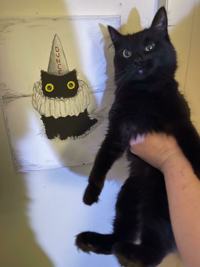 Encontré esta pintura en la basura y se parece a mi gato, así que me la traje 