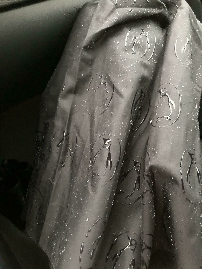 El estampado de mi paraguas solo se ve cuando está mojado