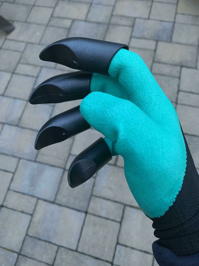Mi kit de jardinería venía con un guante con garras