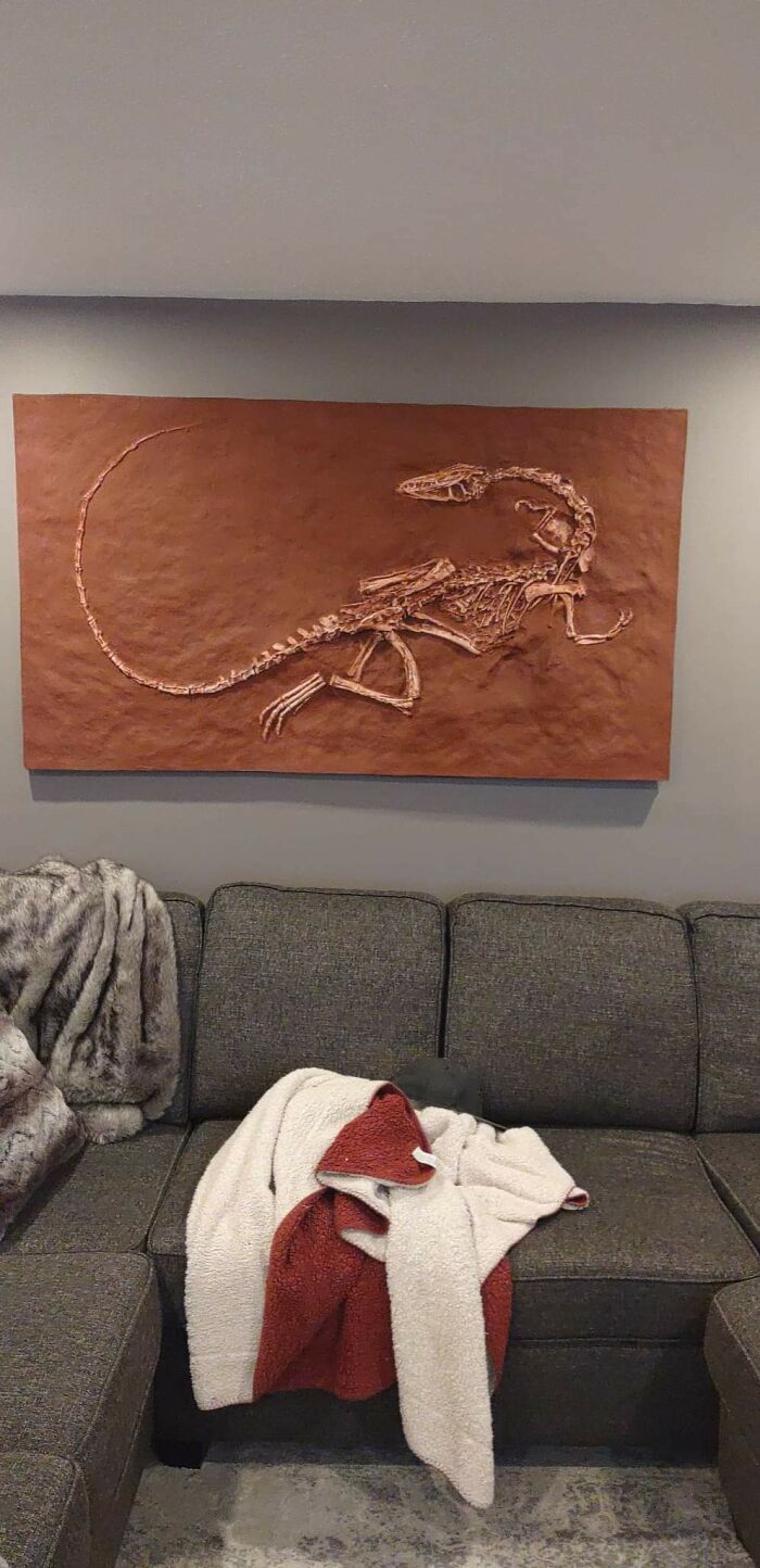 Tuve Que Conducir 14 Horas Para Conseguirla, Pero Por Fin Tengo Mi Pequeña Coelophysis Propia