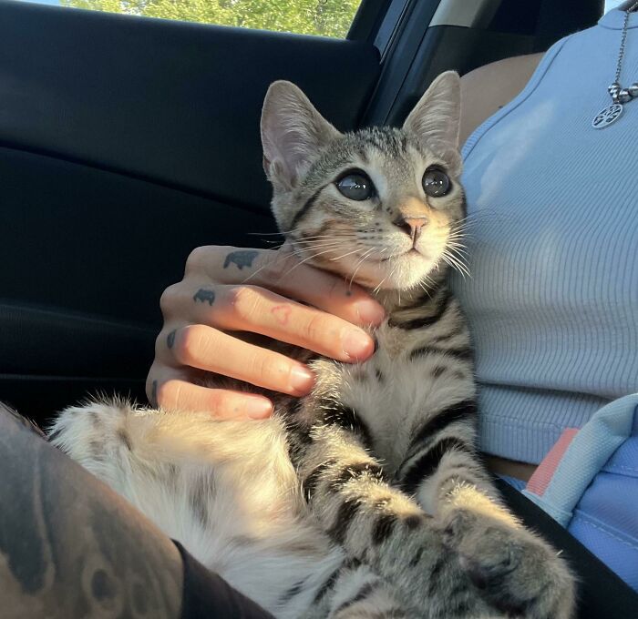 Mi pequeña Freya