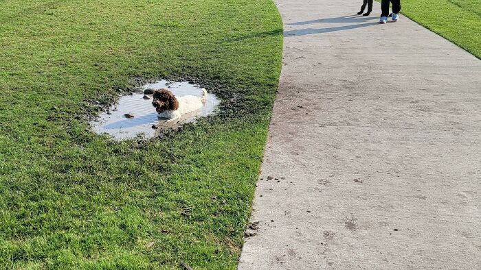 Escogí específicamente este parque porque no tenía fuentes de agua…