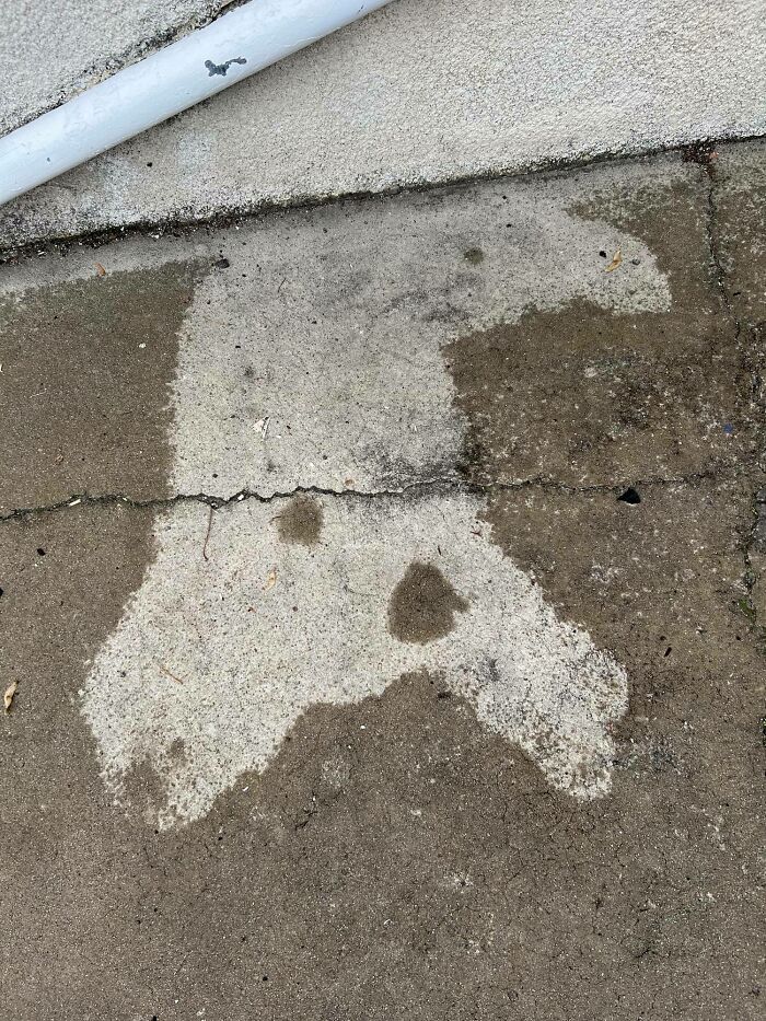 Hoy, se durmió bajo la lluvia