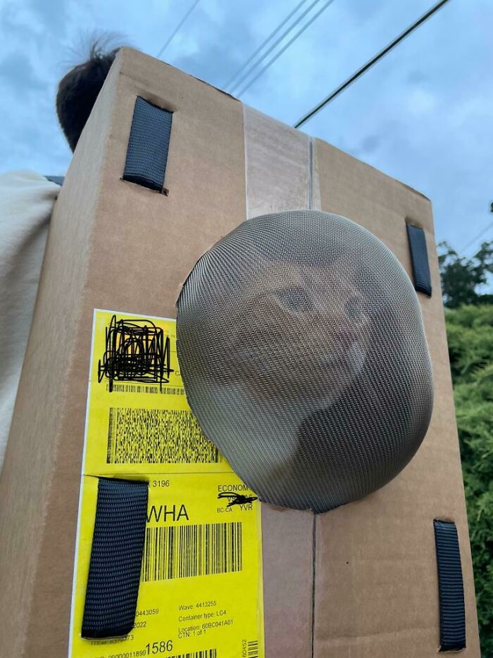 Mochila casera para gatitos. Correas de trinquete, caja de cartón, cinta adhesiva y un colador