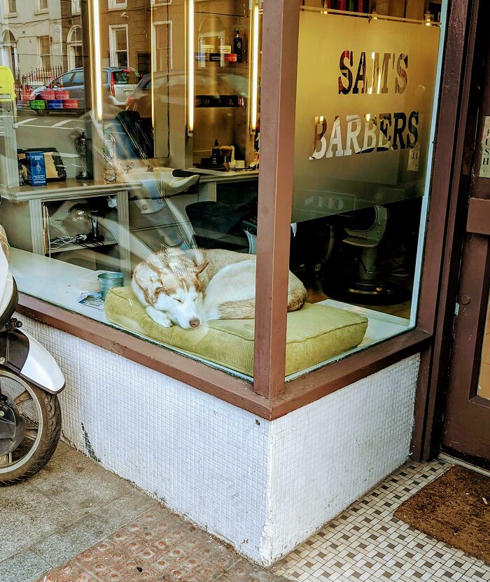 Cómo conseguir más clientes en su peluquería