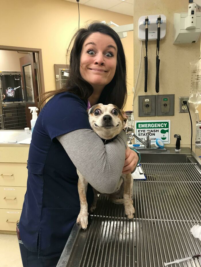 ¡¡Este perrete está tan sorprendido!! Protagonizada por mi igualmente sorprendida compañera de trabajo Katie