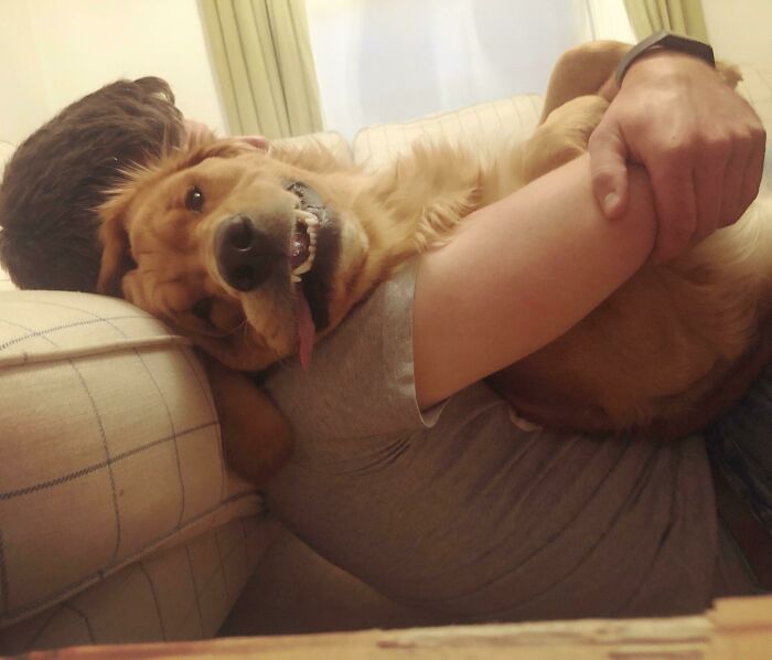 Mi prometido eligió a mi perro en lugar de a mí para un abrazo y mi perro me lo restregó en la cara