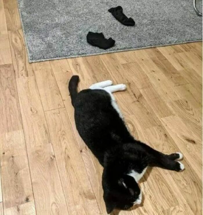 Volvió a tirar sus calcetines al suelo
