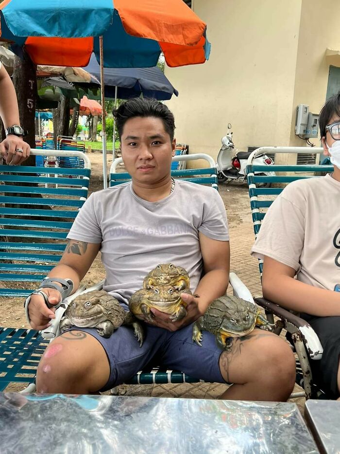 Un chico vietnamita con sus ranas toro africanas 