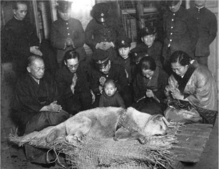 Los habitantes de Tokio lloran a Hachiko