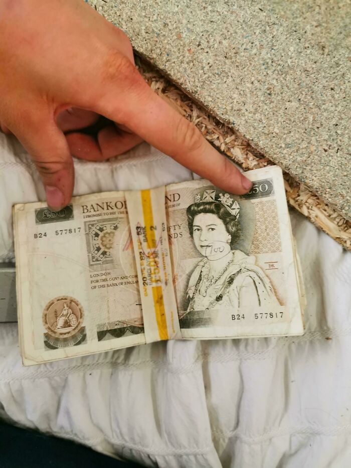  Estábamos reformando el ático de nuestra nueva casa y encontramos 500 libras esterlinas de 1981 envueltas en material aislante