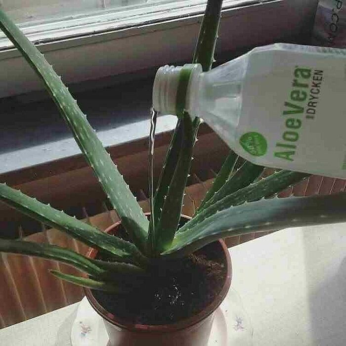 This Instagram Account Is Dedicated To Random Pics That Just Don't Make Any Sense, Here Are 50 Of The Best