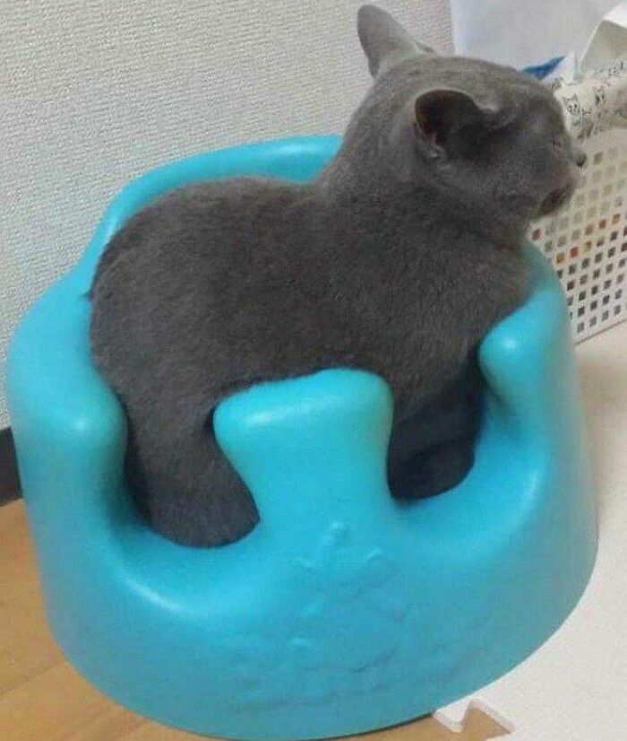 This Instagram Account Is Dedicated To Random Pics That Just Don't Make Any Sense, Here Are 50 Of The Best