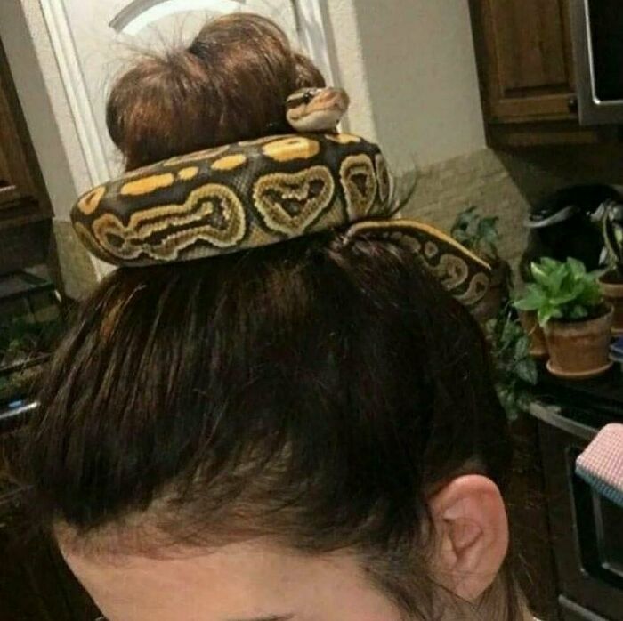 This Instagram Account Is Dedicated To Random Pics That Just Don't Make Any Sense, Here Are 50 Of The Best