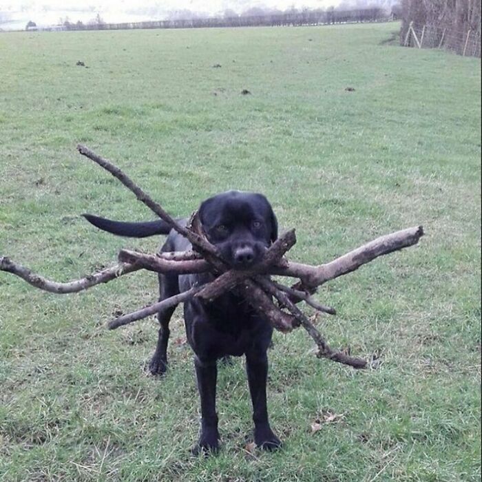 This Instagram Account Is Dedicated To Random Pics That Just Don't Make Any Sense, Here Are 50 Of The Best