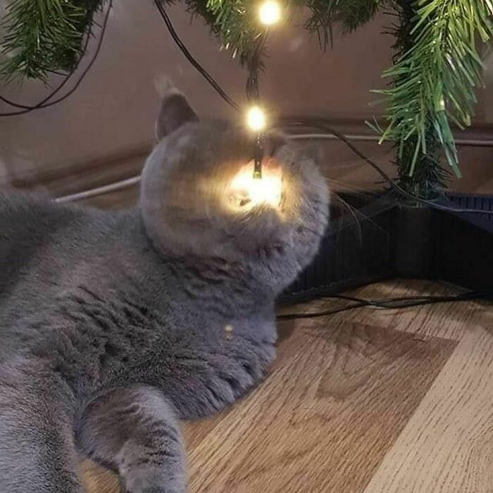 This Instagram Account Is Dedicated To Random Pics That Just Don't Make Any Sense, Here Are 50 Of The Best
