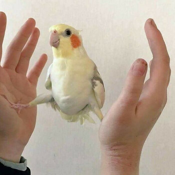 This Instagram Account Is Dedicated To Random Pics That Just Don't Make Any Sense, Here Are 50 Of The Best