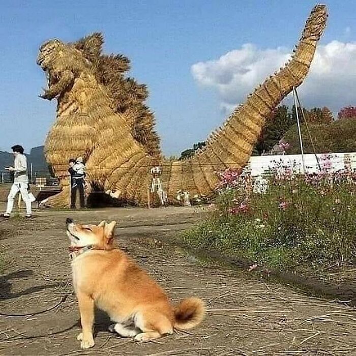 This Instagram Account Is Dedicated To Random Pics That Just Don't Make Any Sense, Here Are 50 Of The Best