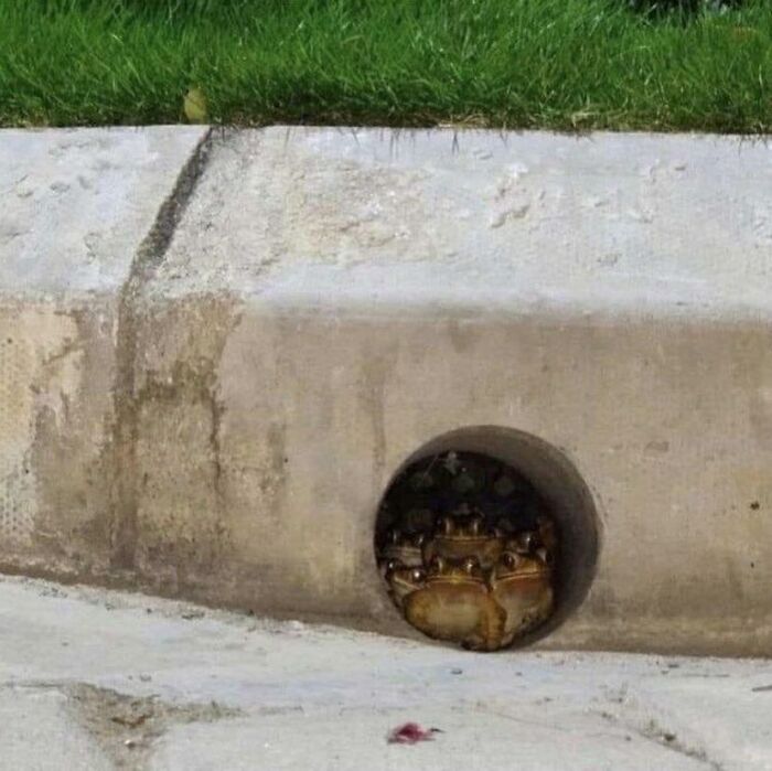 This Instagram Account Is Dedicated To Random Pics That Just Don't Make Any Sense, Here Are 50 Of The Best