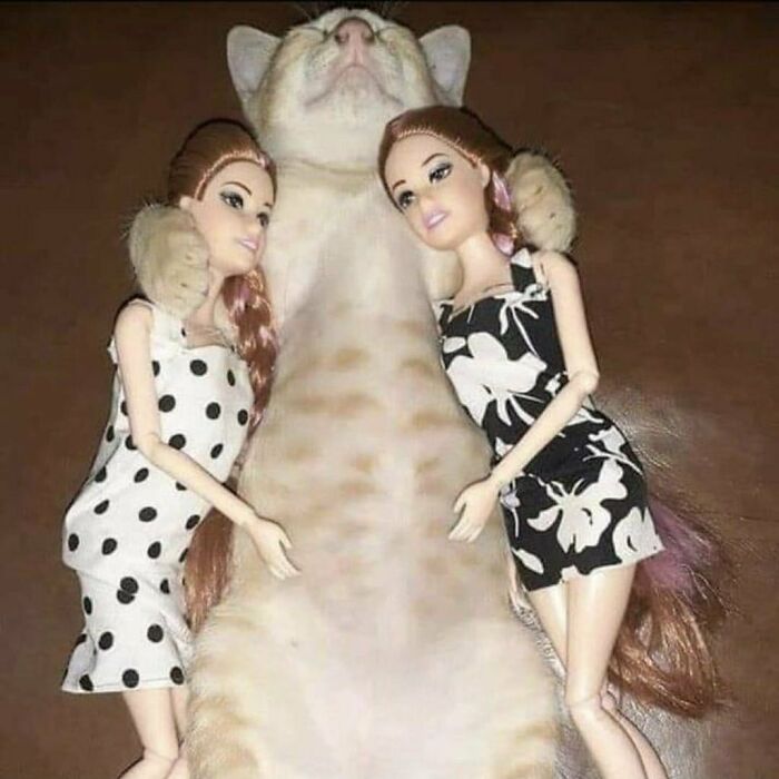This Instagram Account Is Dedicated To Random Pics That Just Don't Make Any Sense, Here Are 50 Of The Best