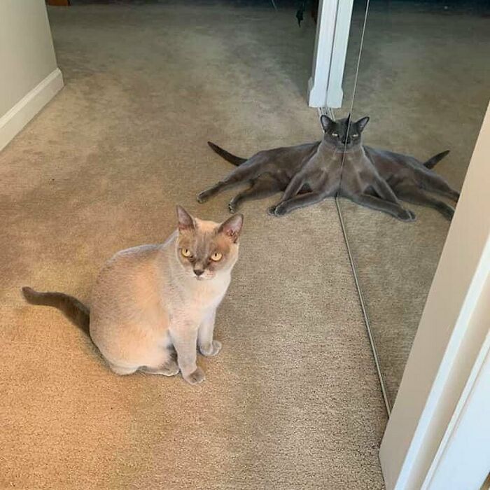 This Instagram Account Is Dedicated To Random Pics That Just Don't Make Any Sense, Here Are 50 Of The Best