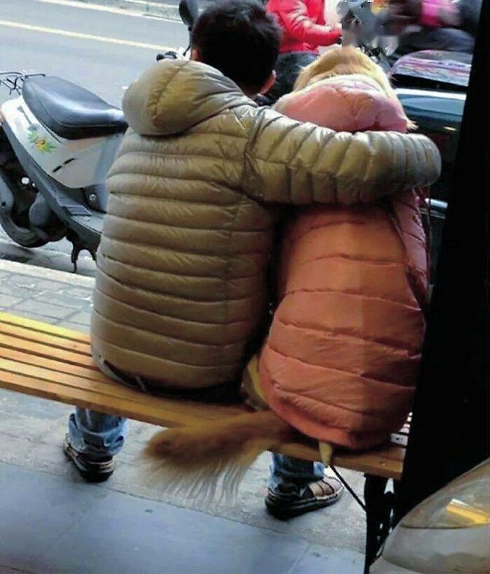 50 Nonsensical Animal Pics That Raise More Questions Than They Answer (New Pics)