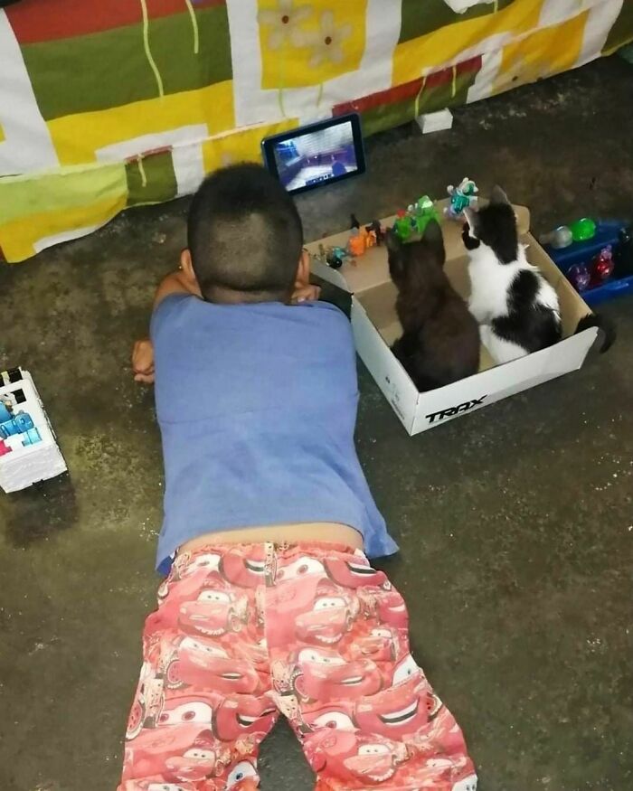 50 Nonsensical Animal Pics That Raise More Questions Than They Answer (New Pics)