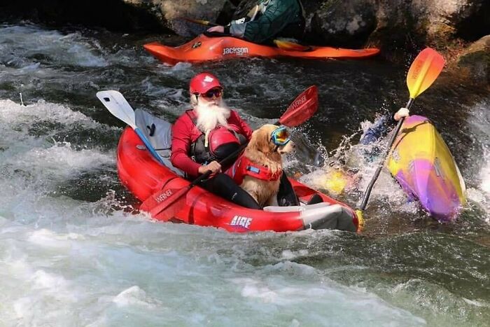 50 Nonsensical Animal Pics That Raise More Questions Than They Answer (New Pics)