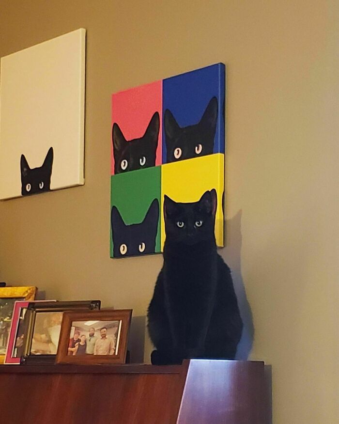 50 Nonsensical Animal Pics That Raise More Questions Than They Answer (New Pics)