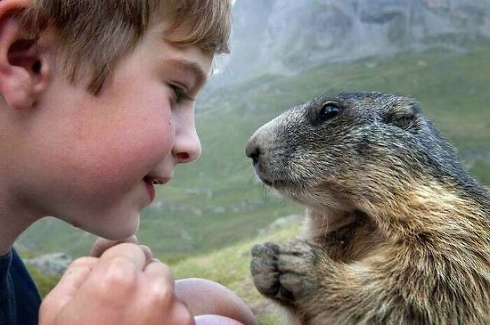 50 Nonsensical Animal Pics That Raise More Questions Than They Answer (New Pics)