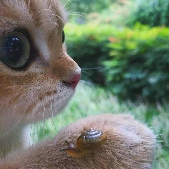 50 Nonsensical Animal Pics That Raise More Questions Than They Answer (New Pics)