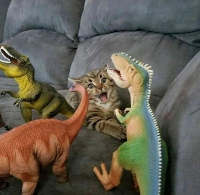 30 Hilariously Goofy Animals To Brighten Up Your Day (New Pics)