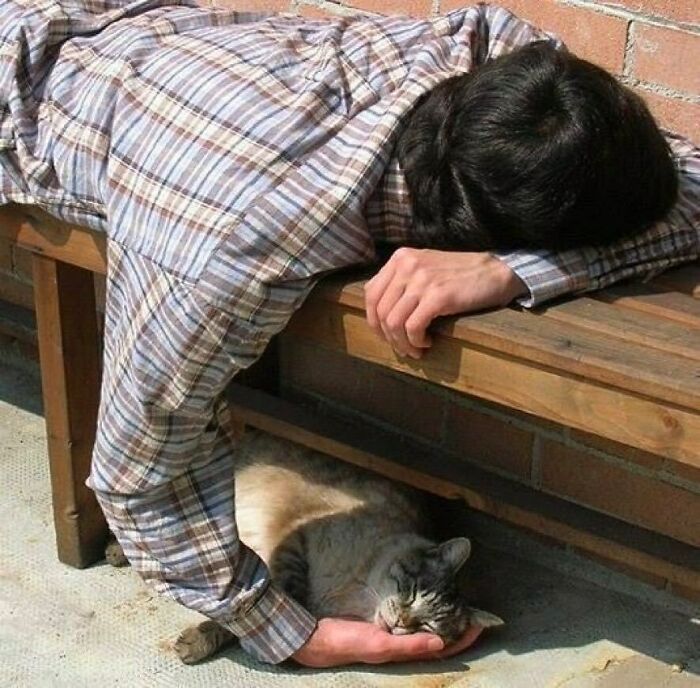 50 Nonsensical Animal Pics That Raise More Questions Than They Answer (New Pics)