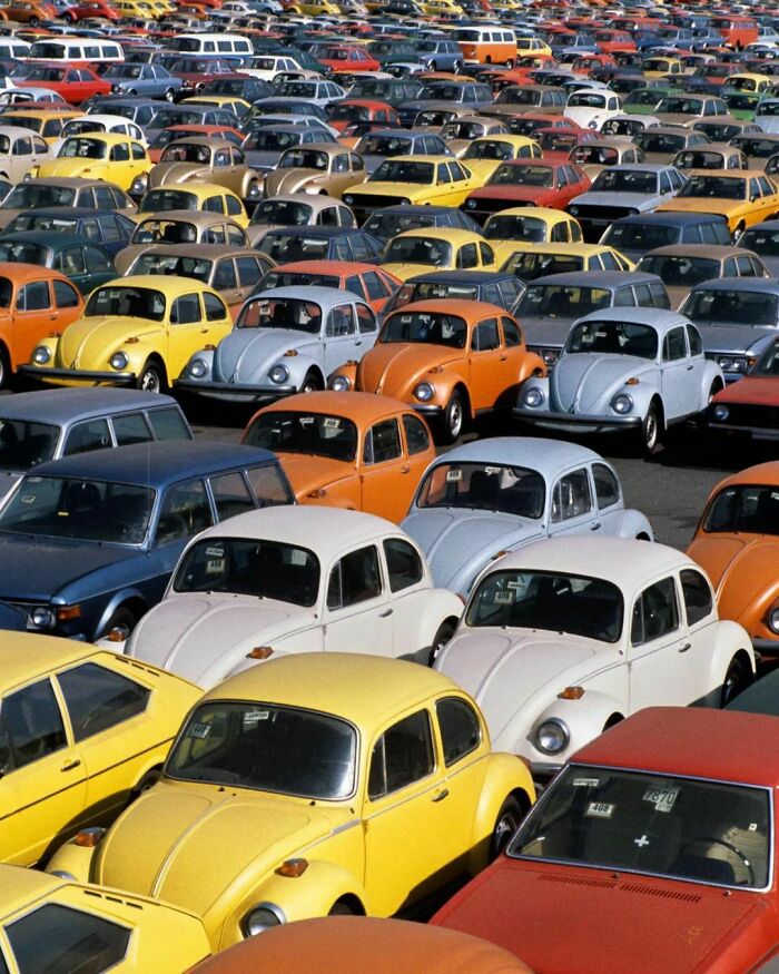 Escarabajos de Volkswagen en un estacionamiento de la autoridad portuaria de Nueva York, en 1973 (fotografía de Jp Laffont)