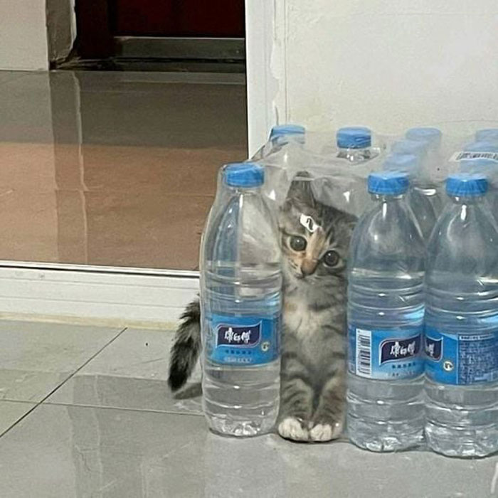 No se olviden de tomar agua