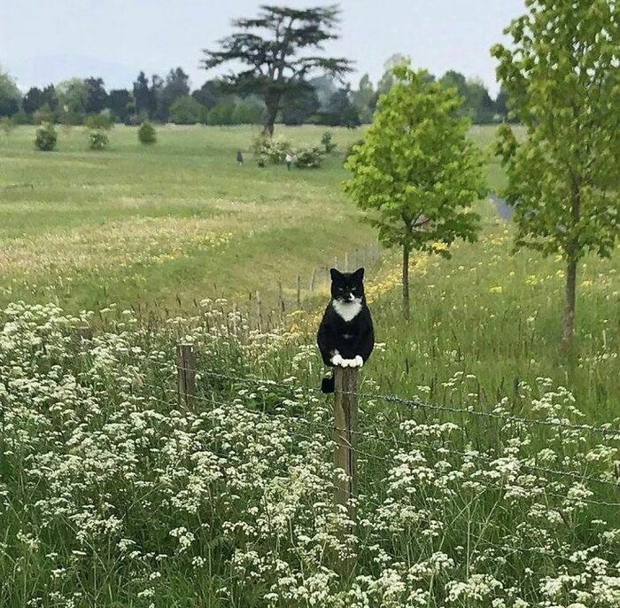 30 Hilariously Goofy Animals To Brighten Up Your Day (New Pics)